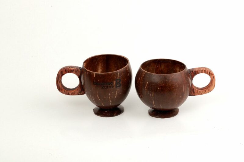 Coconut Shell Mug