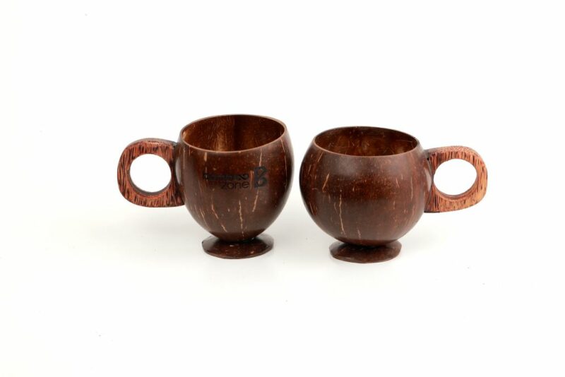 Coconut Shell Mug