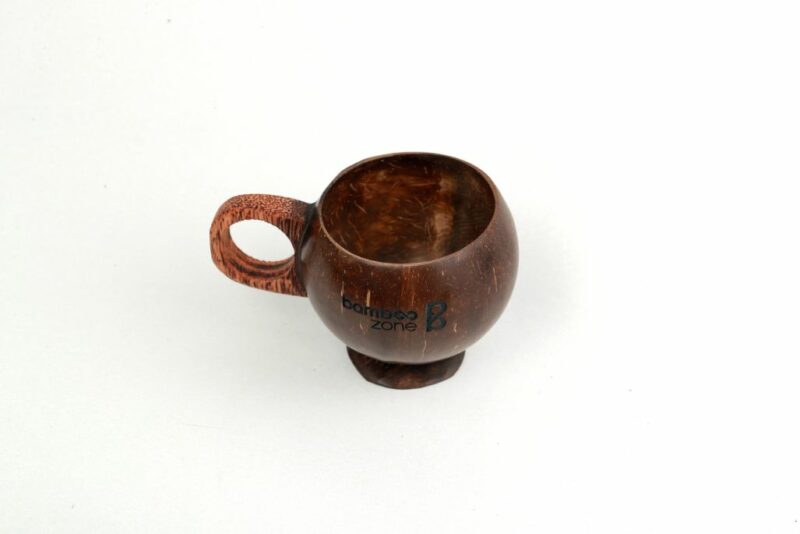 Coconut Shell Mug