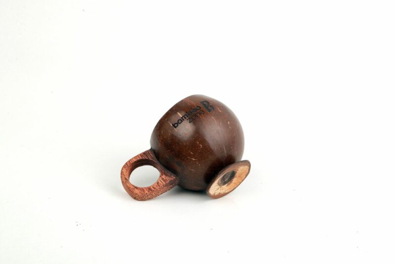 Coconut Shell Mug