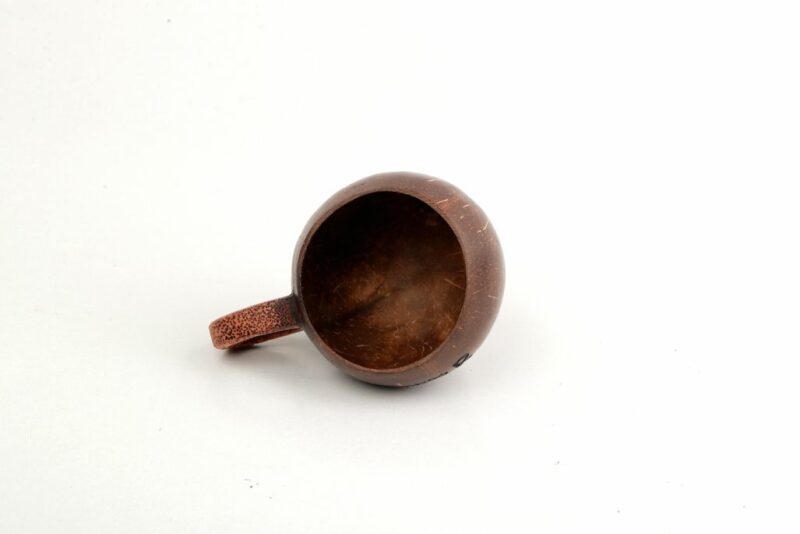 Coconut Shell Mug