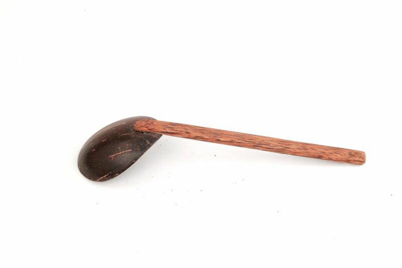 Spoon (Thavi)